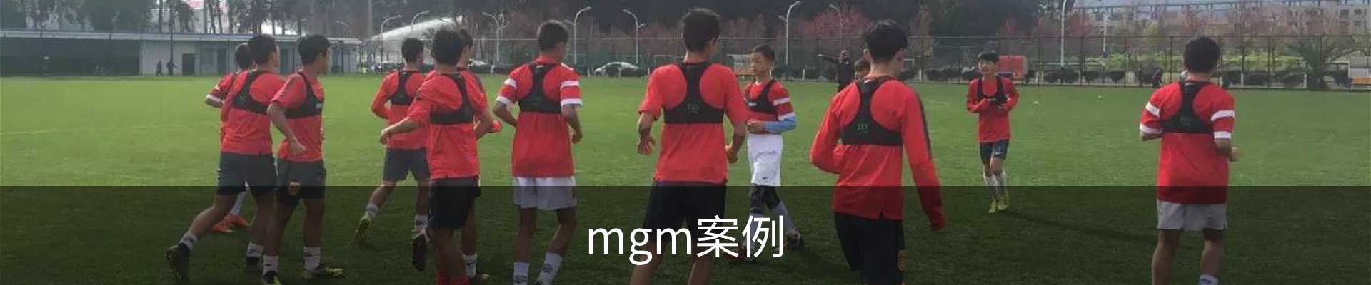 mgm案例