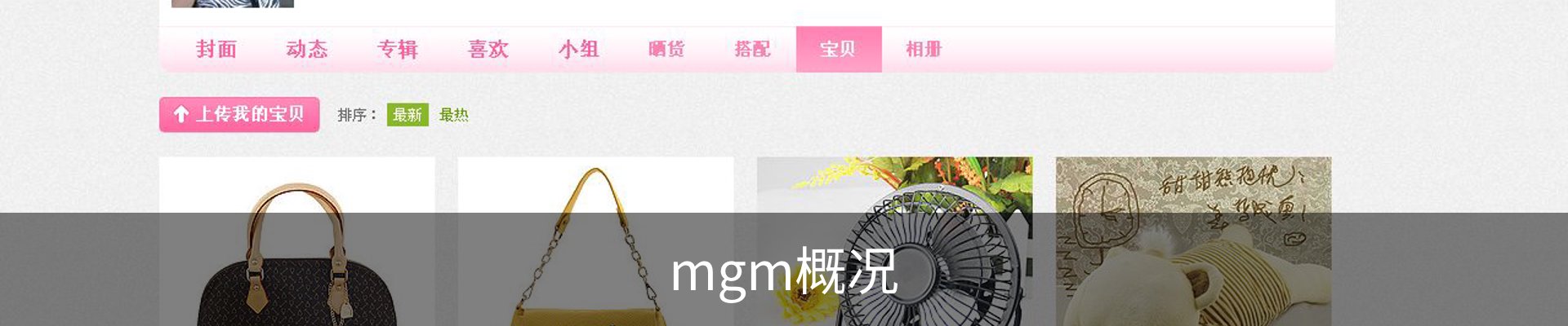mgm概况